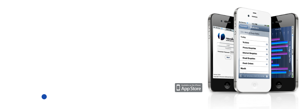 Dealership Software Development